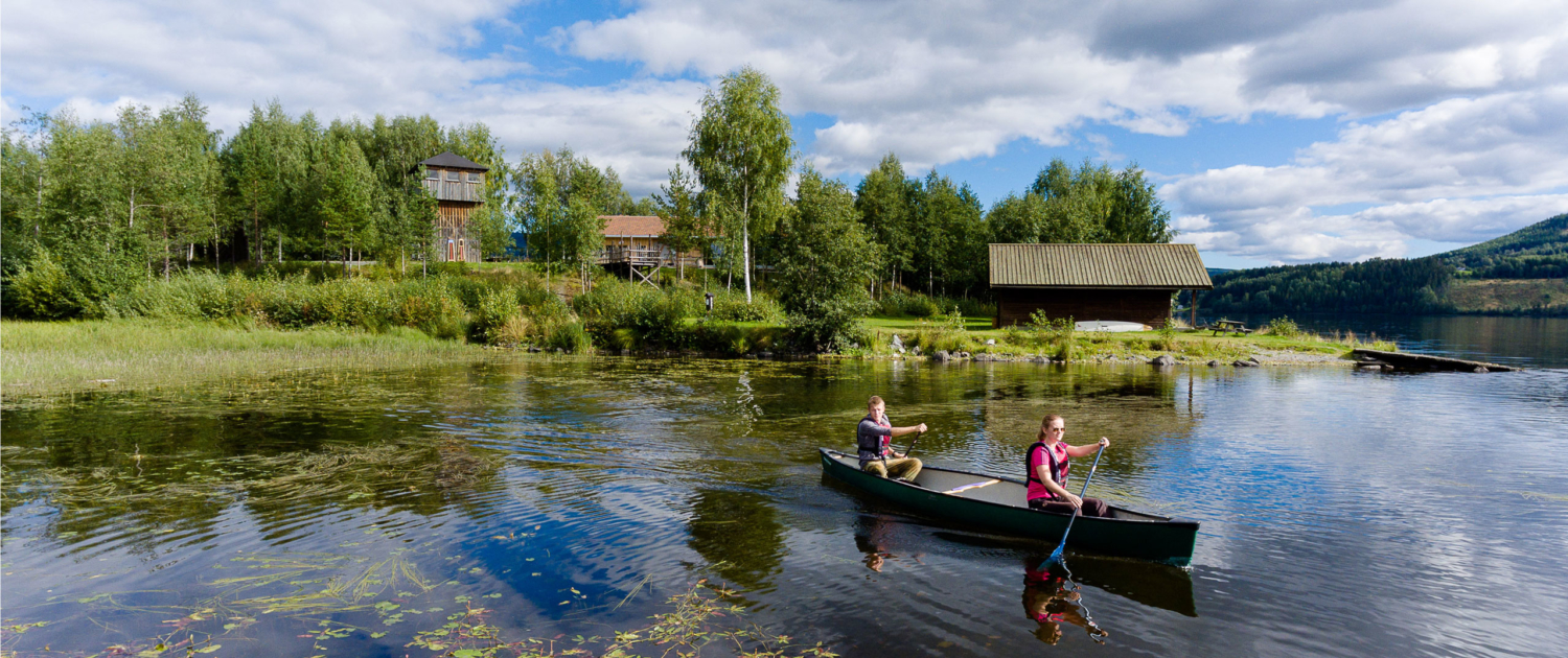 Lyngstrand Camping – Ved Randsfjorden